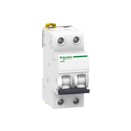 Schneider miniature circuit breaker, 2-pole, 6 amp, 6kA, AC motor